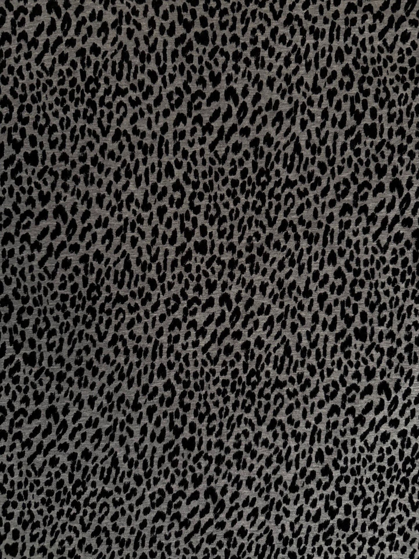 Saint Laurent FW14 Baby Cat Tee