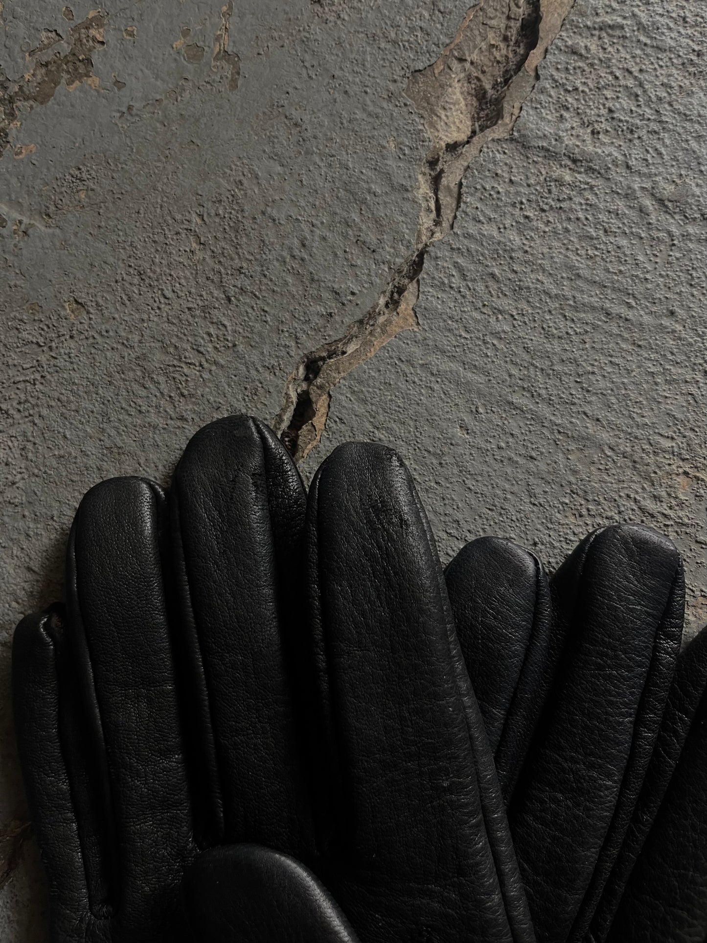 Dior Calfskin Leather Gloves